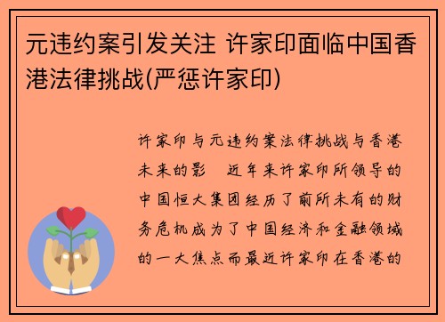 元违约案引发关注 许家印面临中国香港法律挑战(严惩许家印)