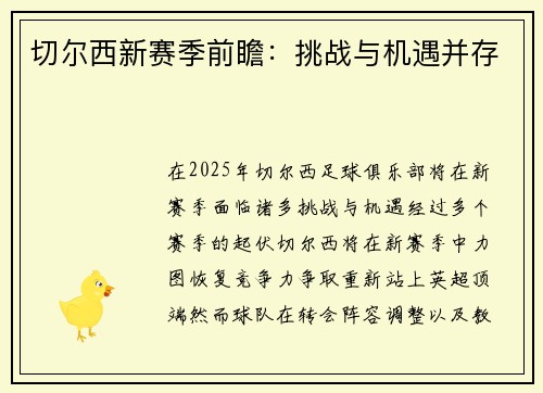 切尔西新赛季前瞻：挑战与机遇并存