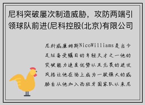 尼科突破屡次制造威胁，攻防两端引领球队前进(尼科控股(北京)有限公司)
