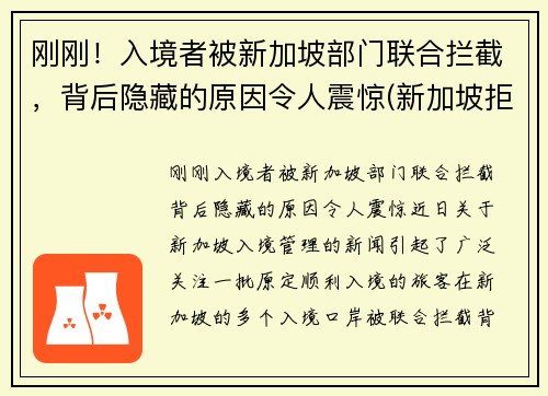 刚刚！入境者被新加坡部门联合拦截，背后隐藏的原因令人震惊(新加坡拒绝入境遣返申诉流程)
